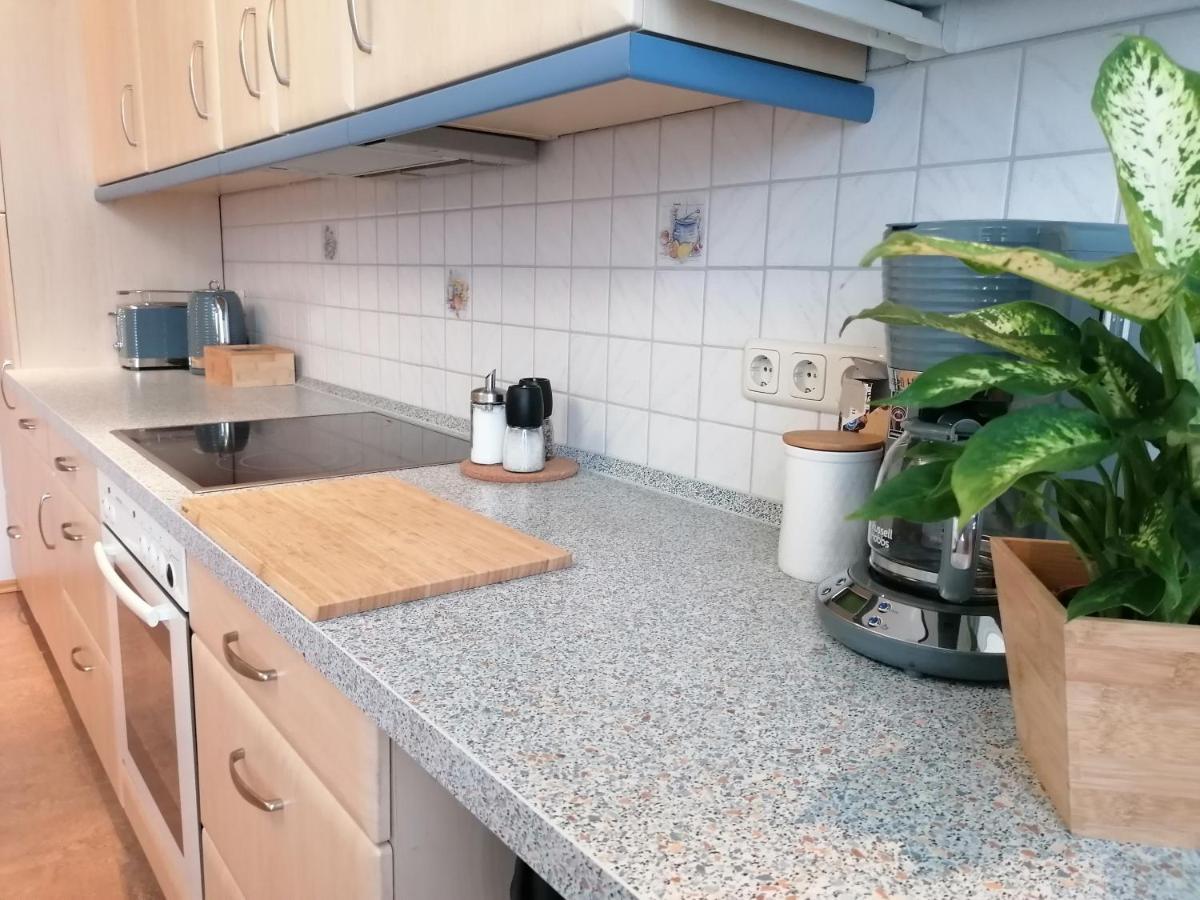 Apartment Sonne Reusa Plauen Ngoại thất bức ảnh